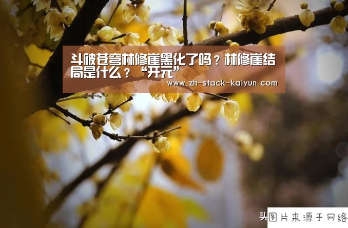 斗破苍穹林修崖黑化了吗?林修崖结局是什么?“开元”(图3) 开云登录