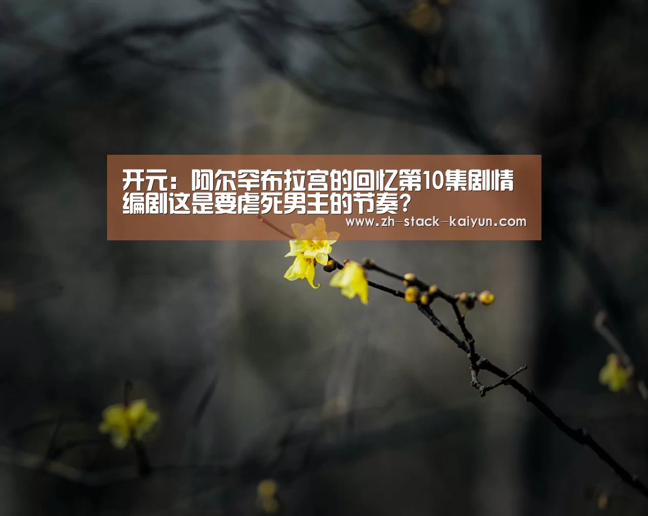 开云登录