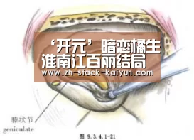‘开元’暗恋橘生淮南江百丽结局如何 痴恋戈壁结果是这样令人心疼(图1) 开云登录
