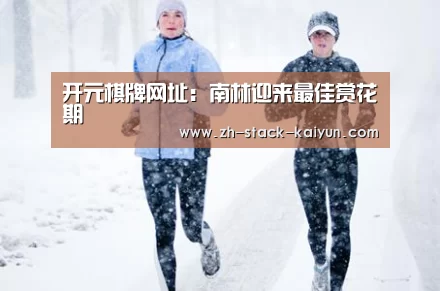 开云登录
